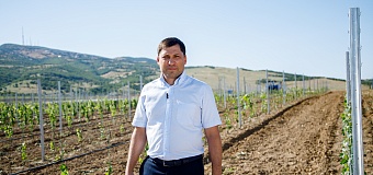 Глава «Дербент Вино»: у Дагестана большой потенциал в развитии энотуризма