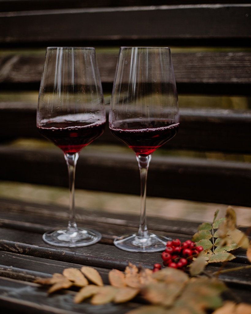 какие бокалы подходят для белого и красного вина